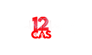 COEUR DE LION (12 CAS)