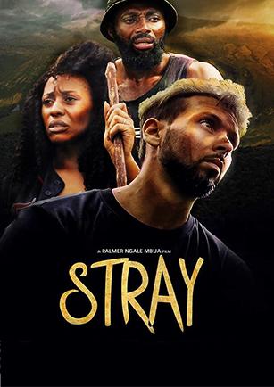 STRAY